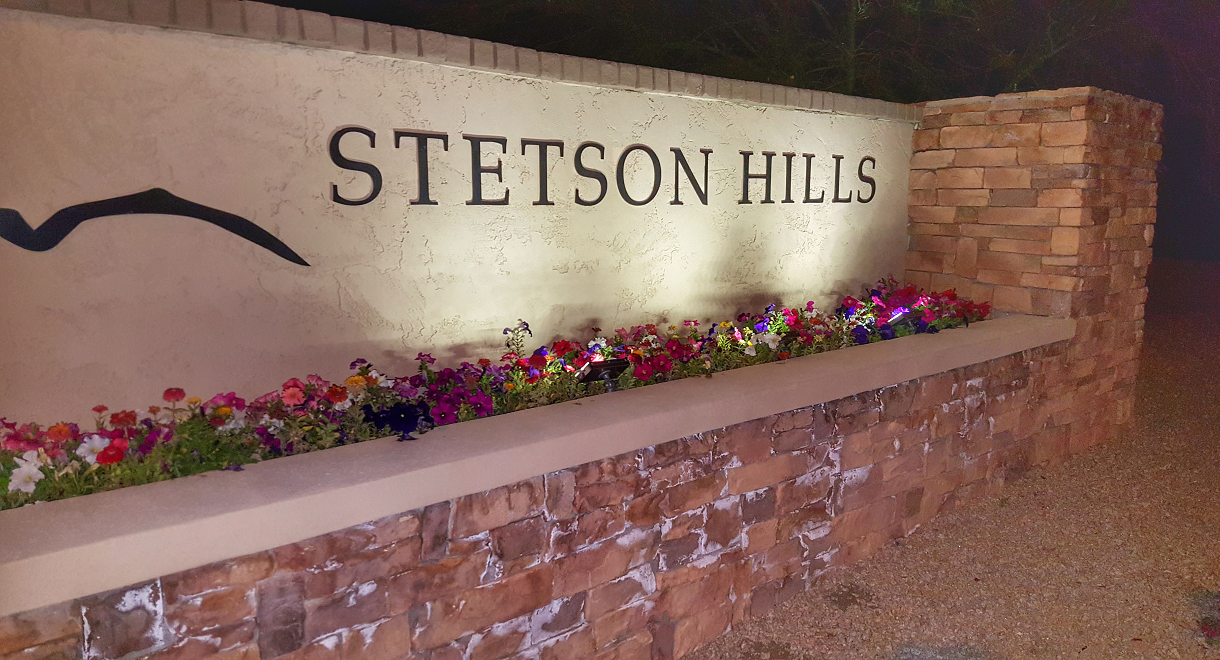 Stetson Hills Homes For Sale Homes For Sale in Stetson Valley
